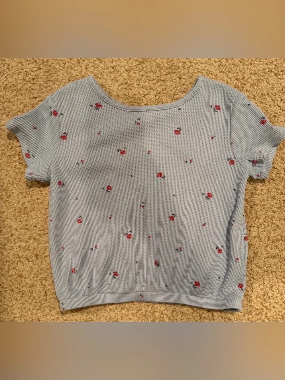 OshKosh B'gosh Light Blue Knit Tee with Red Floral Print